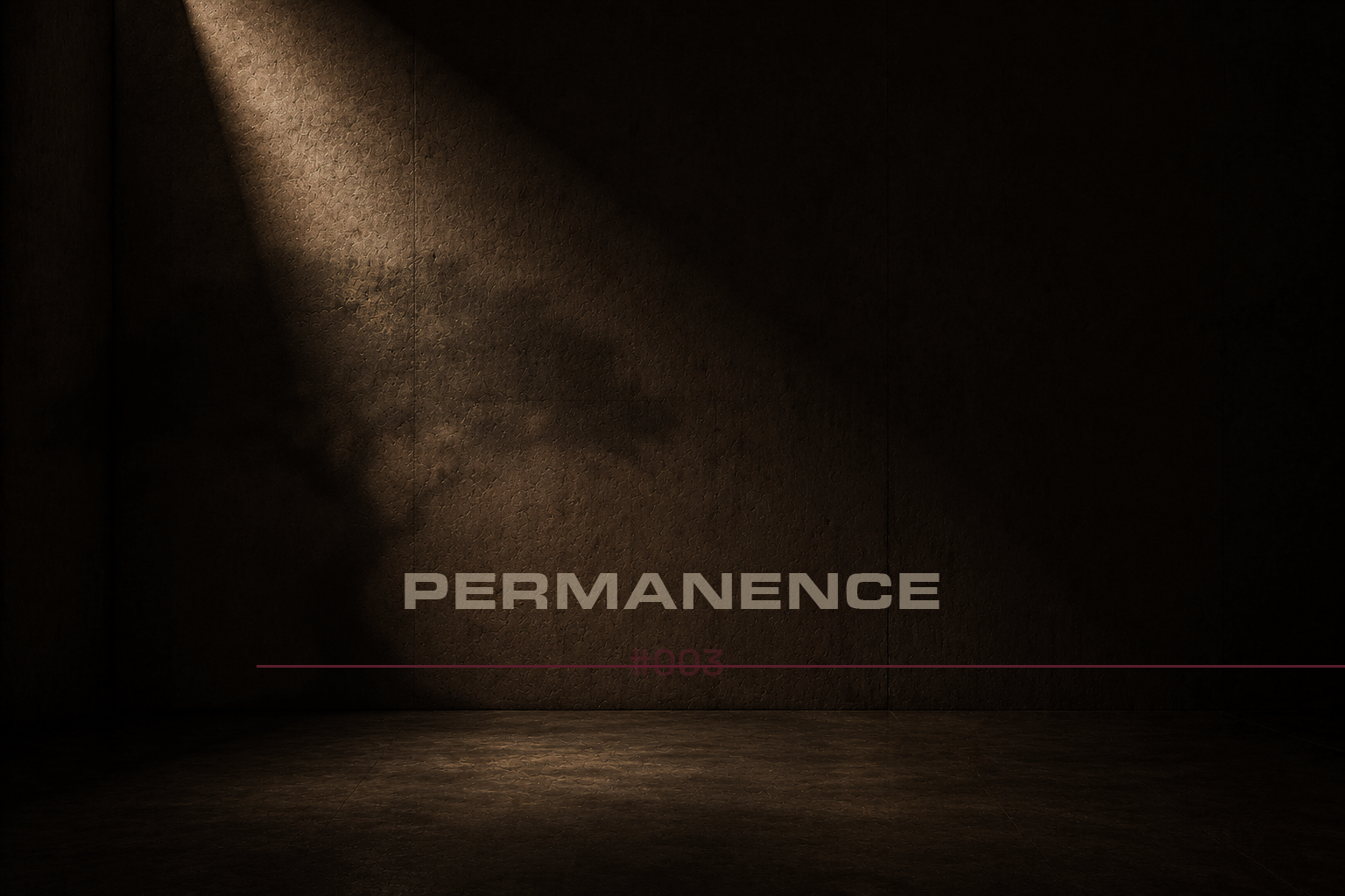 #003_PERMANENCE